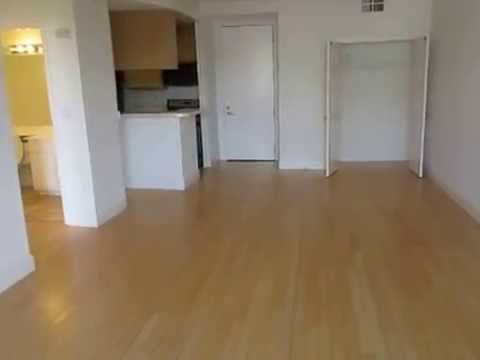 PL5377 - Deluxe 1+1 Apartment for Rent! (Los Angeles, CA)