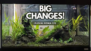 Download lagu Fluval Roma 125 Aquarium Update | From Then to Now mp3 Download lagu Fluval Roma 125 Aquarium Update | From Then to Now mp3