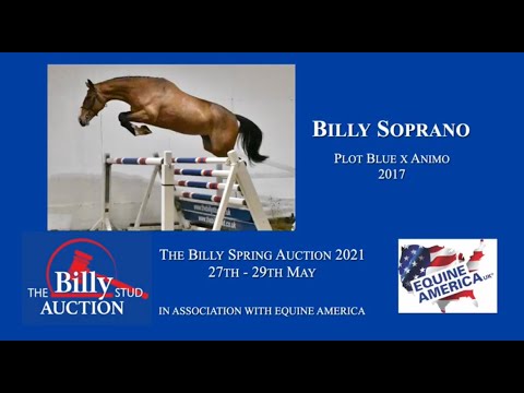 Billy Soprano