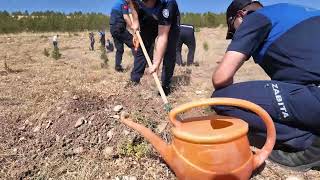 BAŞKAN BÜYÜKKILIÇ’TAN ZABITA HAFTASI DOLAYISIYLA ANLAMLI FİDAN DİKİM ETKİNLİĞİ