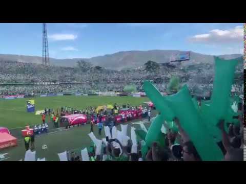 "Atletico Nacional vs Medellin 2019 - Clasico 301 salida Los Del Sur." Barra: Los del Sur • Club: Atlético Nacional