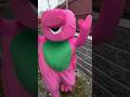 STAY AWAY FROM THIS HAUNTED BARNEY Shorts