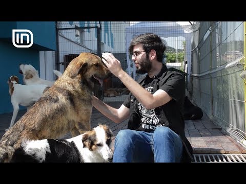 Life is Better with Friends 07062017 - Si ti afrohemi qenve