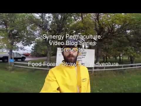 Video Blog Series: How I found straw bales for sheet mulching