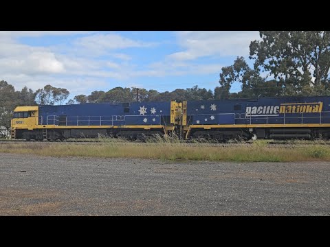 5PM5 PN up "Linfox Express" (NR81, NR2, NR67), Perth to Melbourne, 1705, 26/10/25, Horsham VIC 