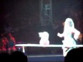 Circus Cats