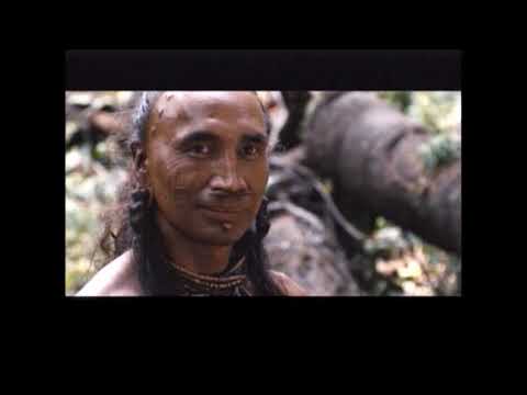 Marco Papa Apocalyppo in pescarese - La giraffa perché si gira? che si giraffà?