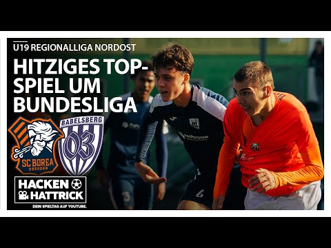 SC BOREA DRESDEN vs SV BABELSBERG 03 / U19 REGIONAL LEAGUE NORTH EAST / ALL GOALS ALL HIGHLIGHTS