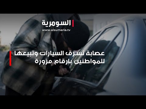 شاهد بالفيديو.. عصابة تسرق السيارات وتبيعها للمواطنين بارقام مزورة