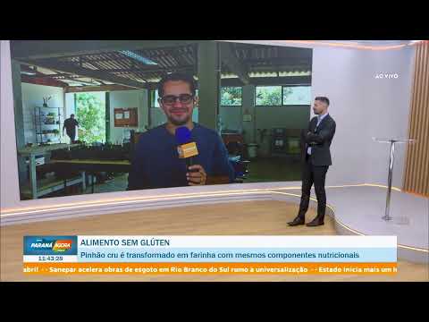Pesquisas com Pinhão na Embrapa Florestas. TV Paraná Turismo.