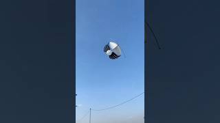 Download lagu Seperti ini Layangan Ram raman Setia Kemajikan ❗Jedag jedug Tiktok mp3 Download lagu Seperti ini Layangan Ram raman Setia Kemajikan ❗Jedag jedug Tiktok mp3