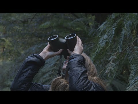 Meet the forest guardians