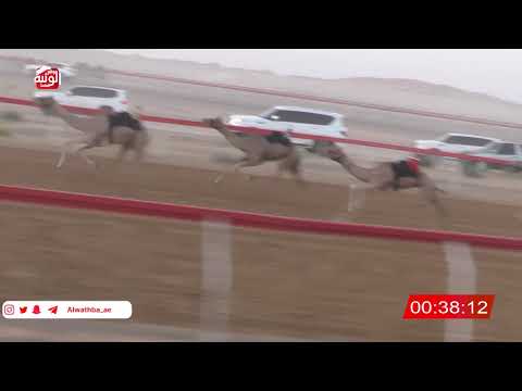  ش 3 (الشاهينيه) لـ عبيد حمد بن سالم بوظفيره العامري 2:15 ، شارة صندوق حلفه 2026/5/31 فطامين الجبيب