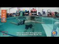 Swim Float Swim At Watersafe Swim School By Mr Wyatt