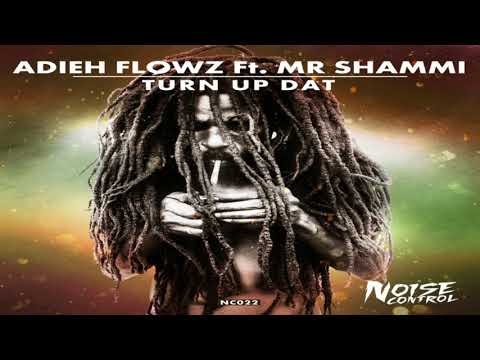 Adieh Flowz - Turn Up Dat (ft. Mr Shammi)