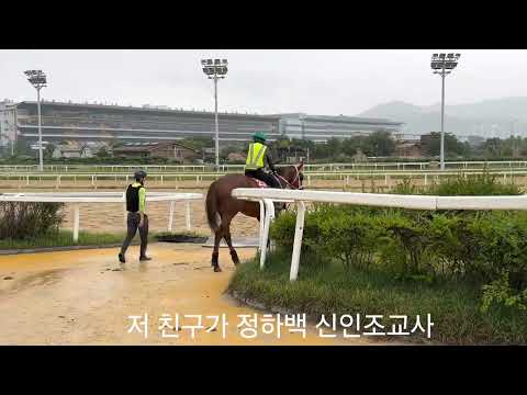 저 친구가 조교사 데뷔한다구?