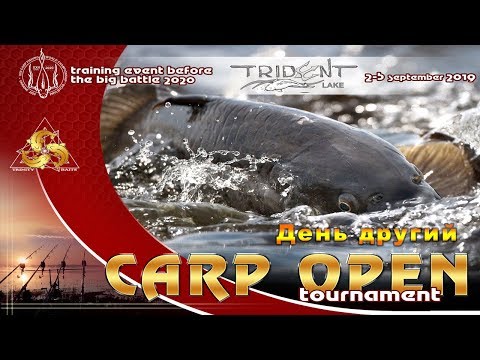 Carp Open International Tournament. Day 2.