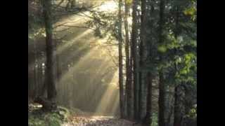 - World of Miracles -