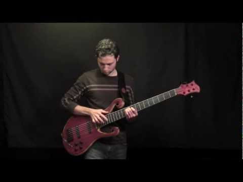 Xylem 6 String Bass Solo - Villex Pickups, Delay, Tapping