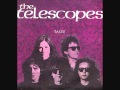 The Telescopes Flying 1991 