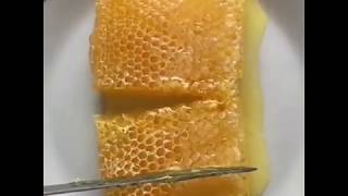 Download lagu Lapak nitikan || Jual Madu Sarang lebah asli dengan harga murah lokasi jogja yogyakarta sistem COD mp3