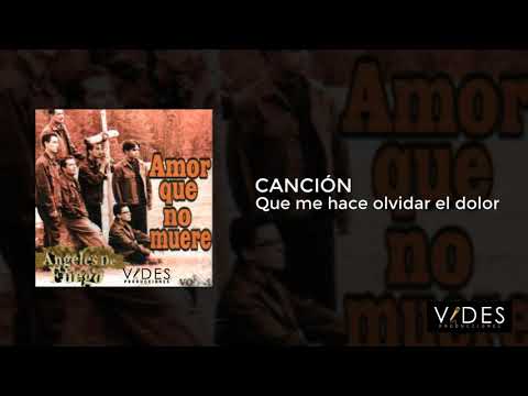 Me Hace Olvidar El Dolor - Angeles de Fuego