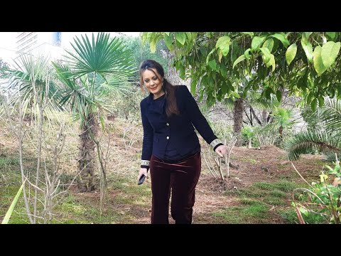 Vitrina e librit/ In Memoriam për poetin Bardhyl Londo