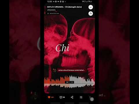 goylz×urgamal Chi