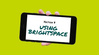 Section 3 Using Brightspace