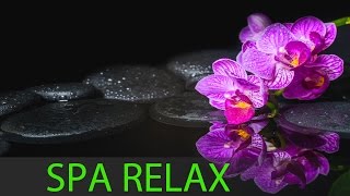 8 HOURS Best Relaxing Music: Spa Music, Massage, Zen, Healing Music, Yoga Music, Resting ☯349