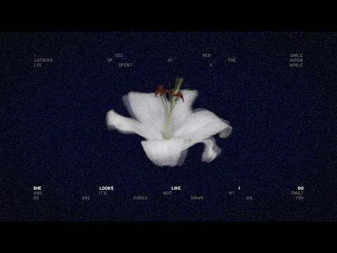 Whale Call - Wasia Project