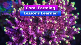 Coral Farming Lessons Learned with Treasure Corals