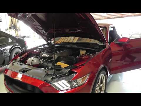 GT350 VS SCJ Dyno Test