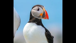 Thailand vs Malaysia | Freestyle Football ASEAN CUP E2