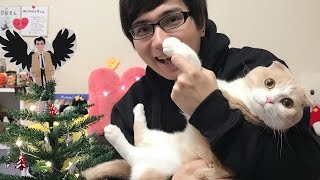 A Very Bacouple Christmas Tree ✨ VLOGMAS DAY 2