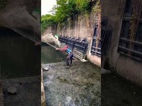 ONE CAST… SO MANY GIANT FISH! 😱🐟 | UNBELIEVABLE CATCH #fishing #viral #fish