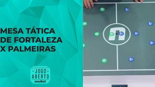 Marco Aurélio Cunha faz prévia de Fortaleza x Palmeiras
