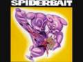 old man sam spiderbait