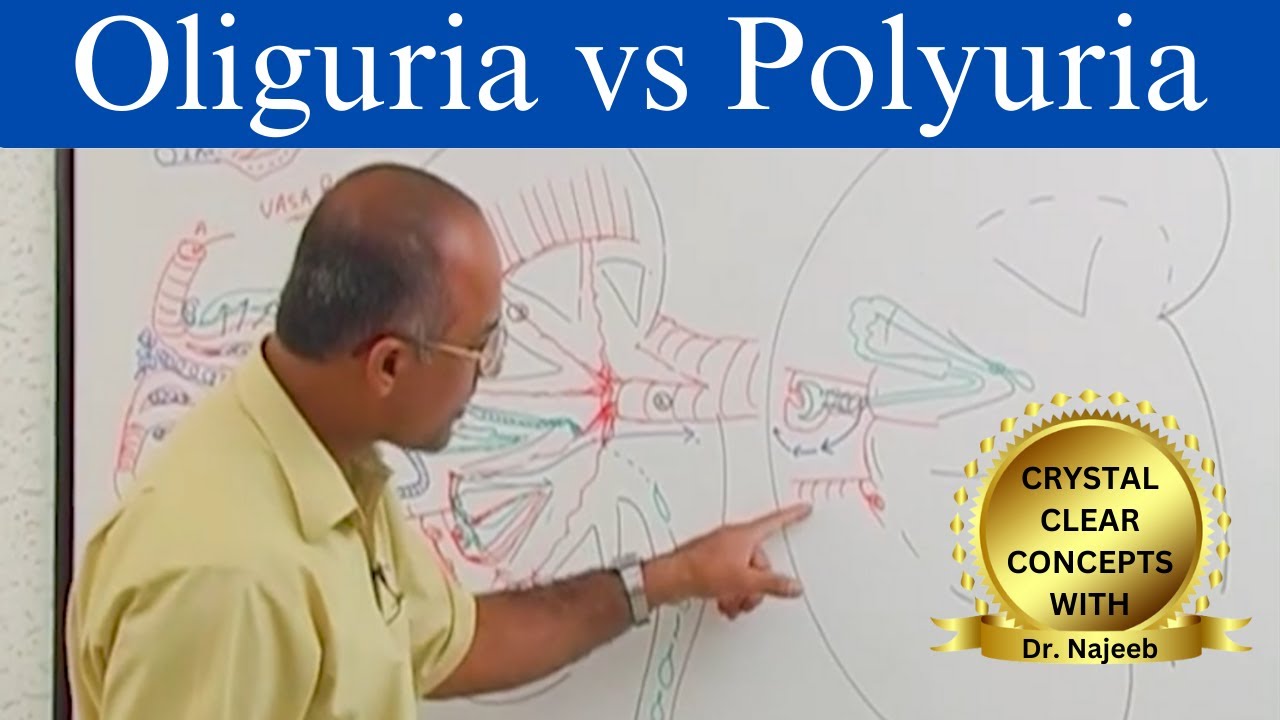Oliguria vs Polyuria | Urine Output | Causes and Symptoms