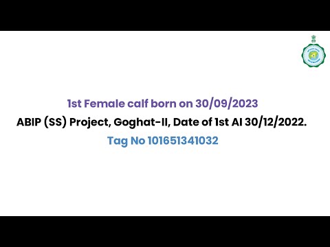 Female calf born through AI using Sex Sorted semen under ABIP-SS, thanks to PBGSBS, ARDD, GoWB