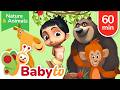 Safe Small World Nature Animals 60 Minutes BabyTV