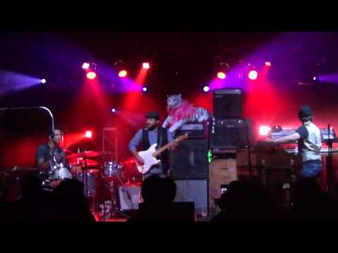 Alan Evans' Playonbrother - full set Cervantes Denver, CO 7-17-14 HD tripod