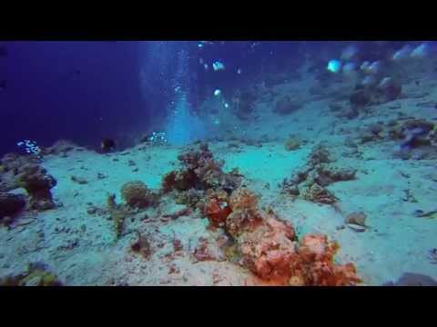 UW-Video Dahab (verschiedene Tauchplätze), Dahab - allgemein,Ägypten
