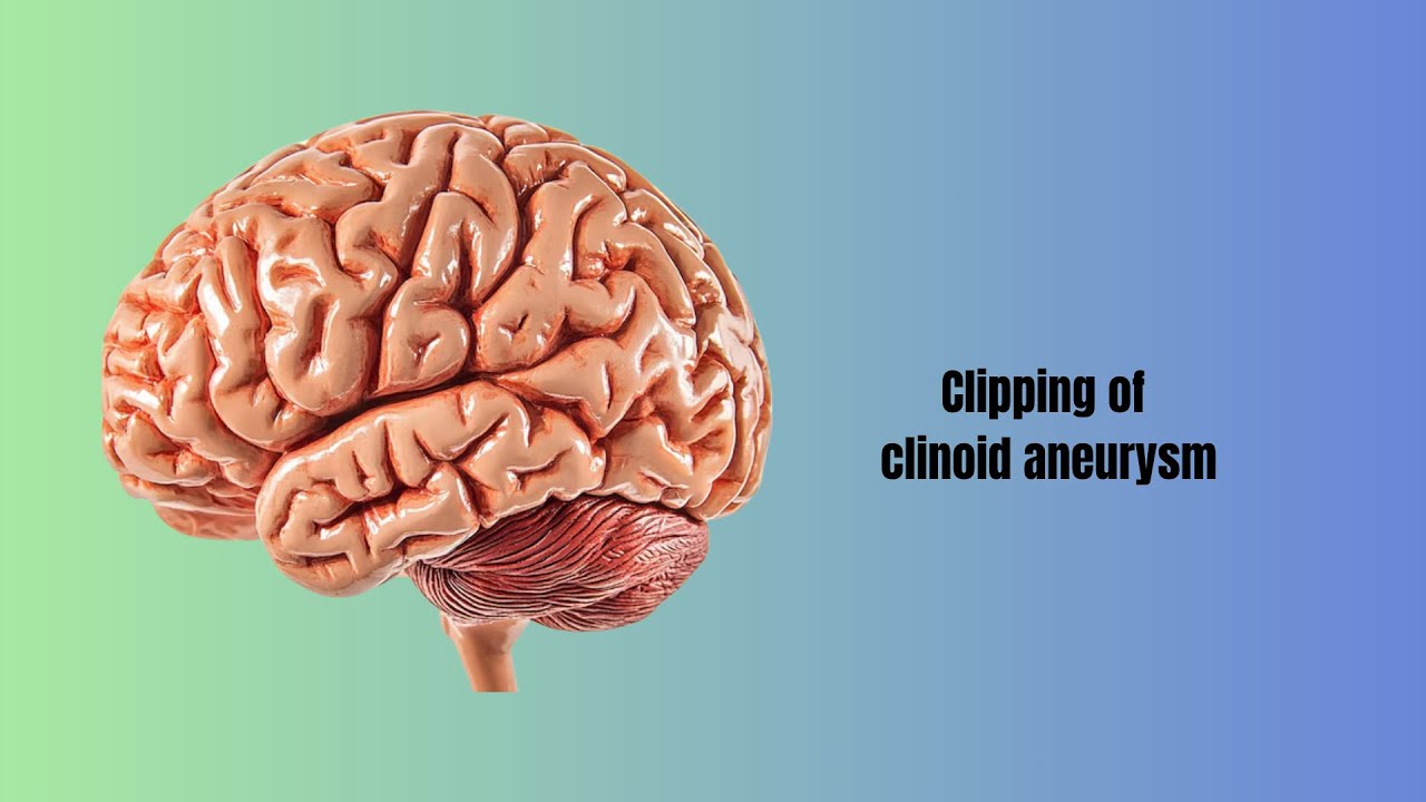 David Tafur Muñoz-2481