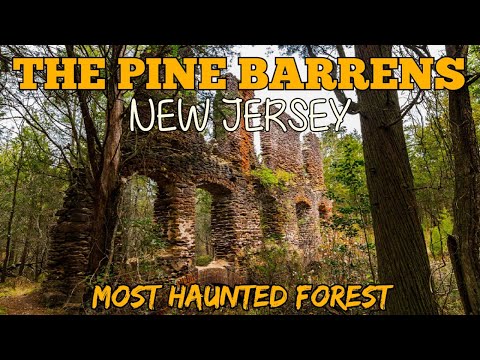 The Chilling Hauntings of New Jersey's Pine Barrens