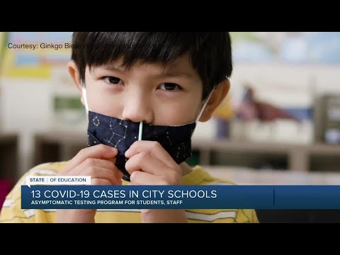 13 COVID-19 cases in City schools