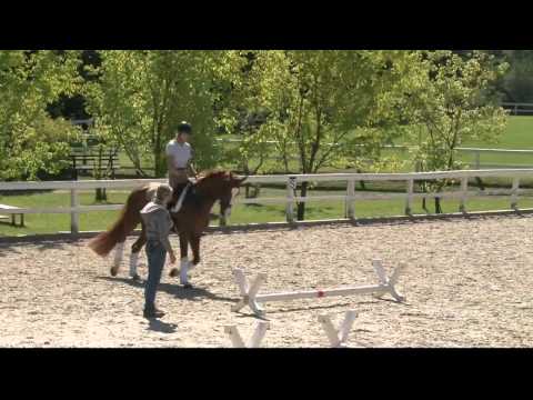 Dressur Intensiv mit Ingrid Klimke