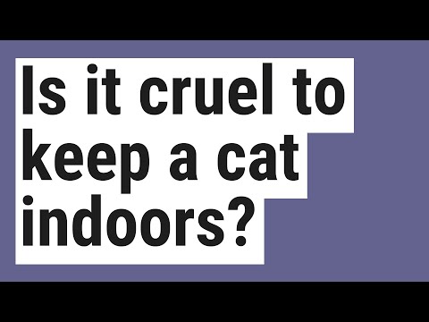 Is it cruel to keep a cat indoors?