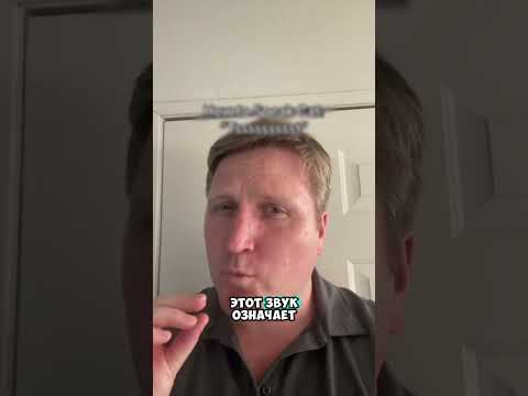 Мужчина научился общаться с котом