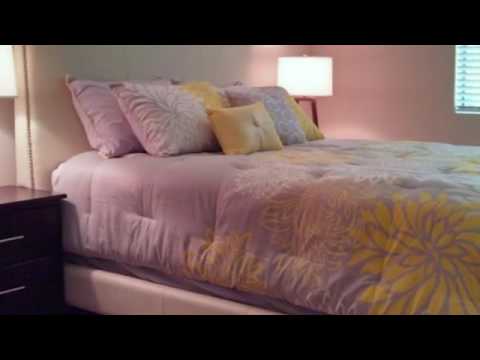 Cabot Crossing Apartments in Lowell, MA - ForRent.com